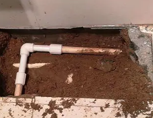 巴里坤哈萨克测漏水哪家好