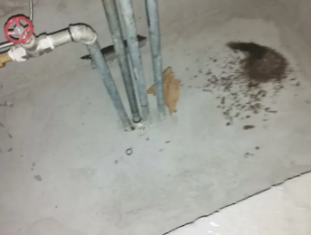 巴里坤哈萨克卫生间测漏水价格明细