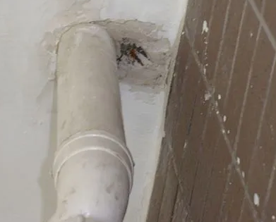 巴里坤哈萨克漏水检测哪家好